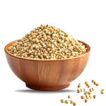 Coriander Seeds