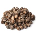 Moringa Seeds